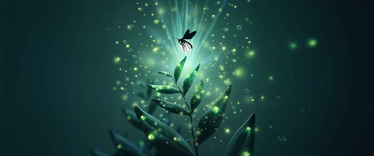 Ortak Evrimden Kozmeseutiğe: Bitki–Böcek Genetik Diyaloğundan Alınan Dersler