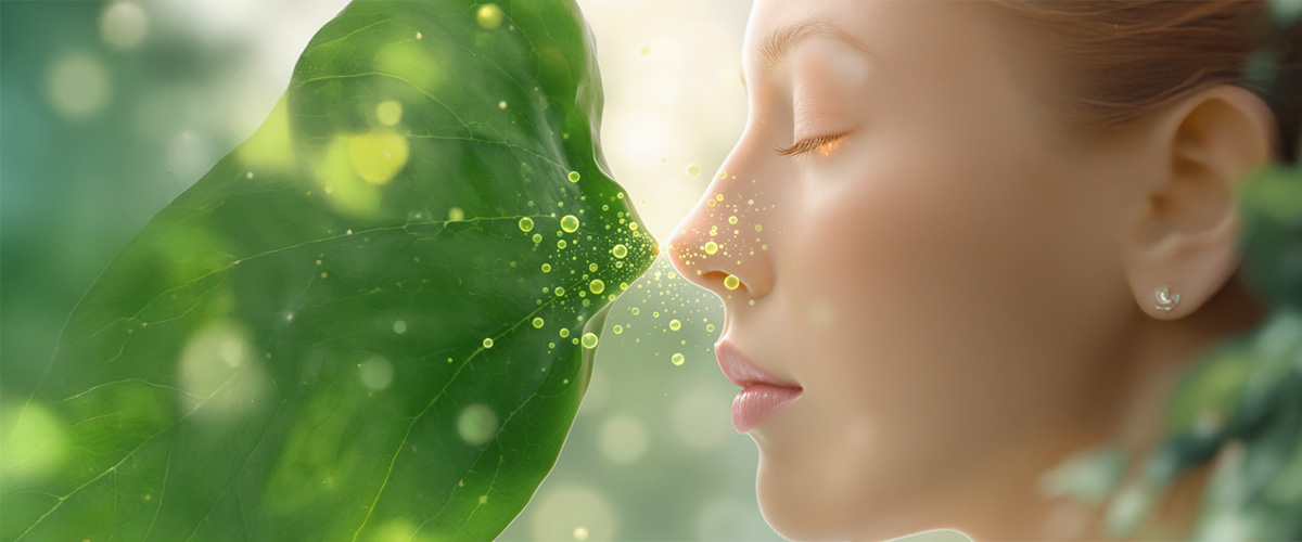 Bitkisel Bilgelik, İnsani Yenilenme: PhytoExo-R™’ün Krallıklar Arası Uyum Yaklaşımı